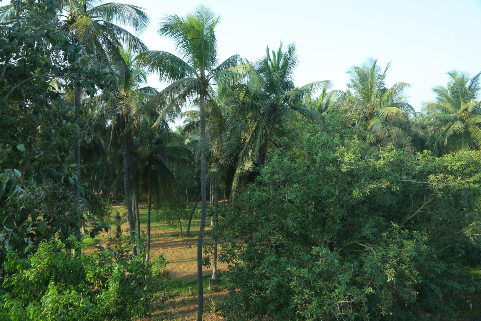 Misty Ocean - A Bergamont Group Of Hotel Kuilapalayam Экстерьер фото